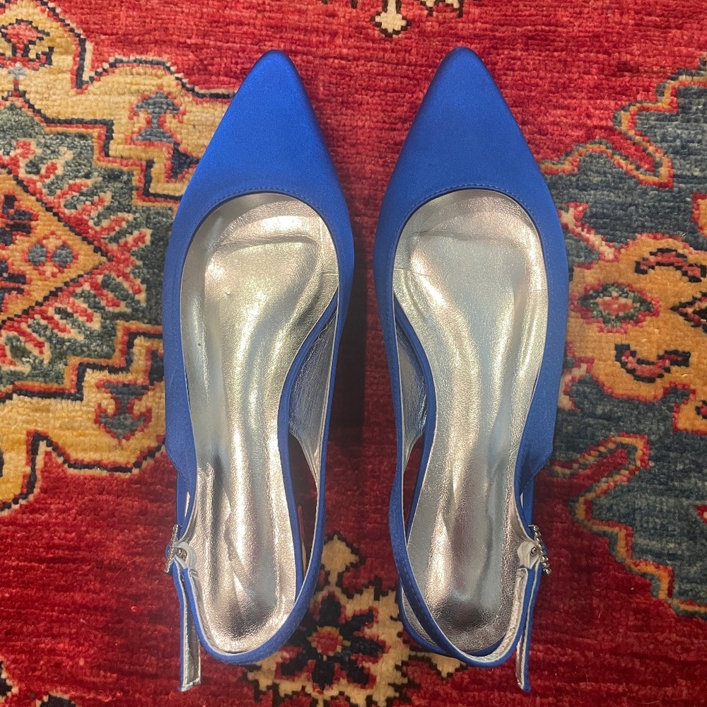 Blue Wedding Shoes